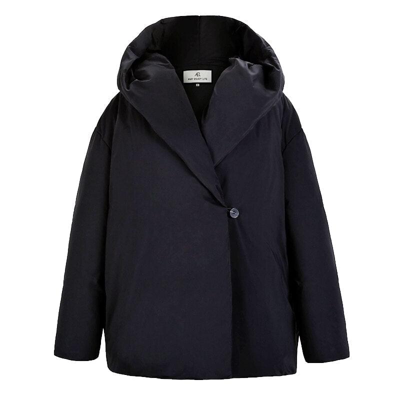 Autumn And Winter Small Crowd Hooded Down Jacket Women's New Trend Package Loose Coat